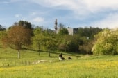 Monument de De Gaulle